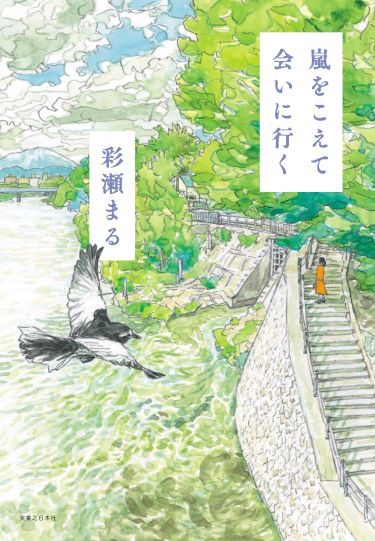 『嵐をこえて会いに行く』彩瀬まる