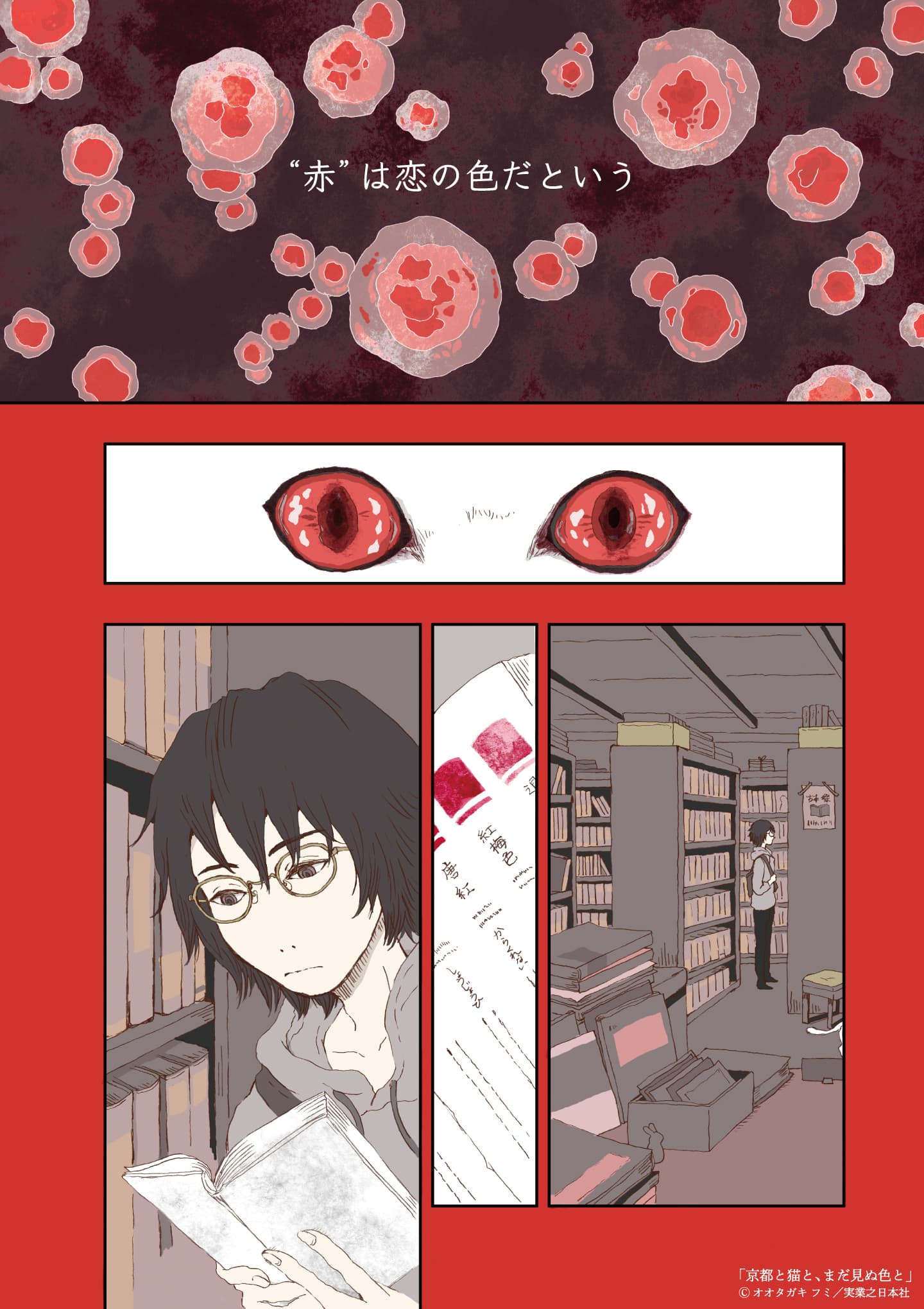 京都と猫と、まだ見ぬ色と